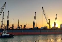 Sve veća knjiga narudžbi dodatno opterećuje tržište rasutih tereta