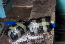 Rekordna zapljena: više od tone kokaina otkriveno u luci Lagos