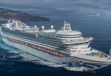 Pilot pao u more pri ukrcaju na kruzer “Emerald Princess” kod Havaja