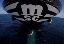 Veliki plan MSC-a u Africi: novi kontejnerski terminal u Lagosu i ulaganje teško milijardu dolara